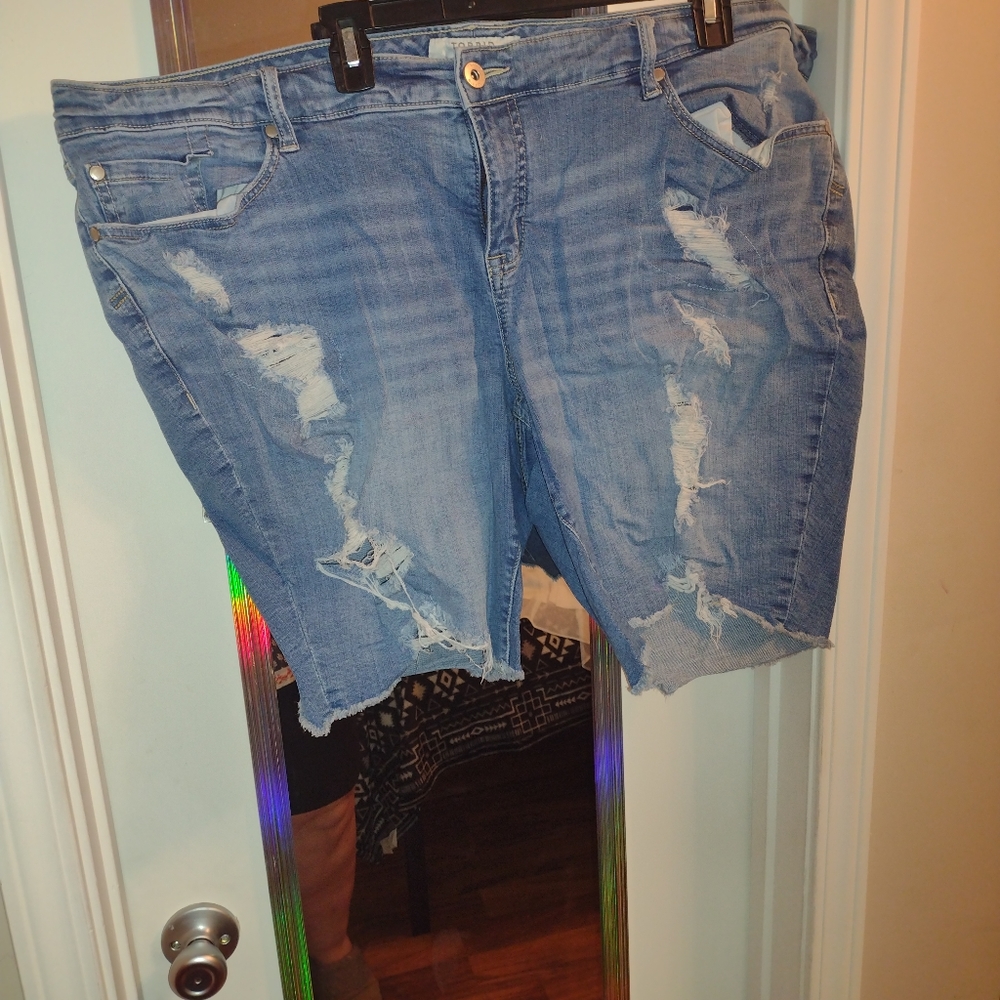 Torrid size 24